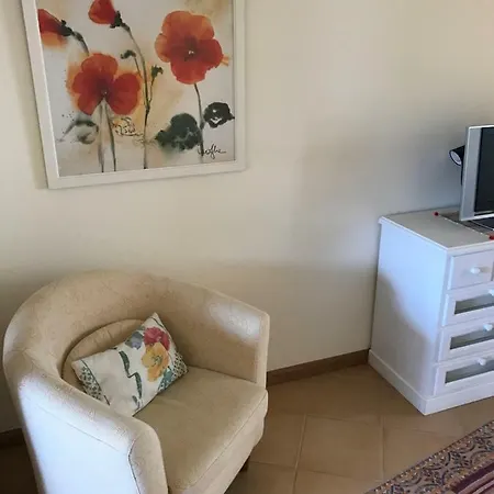 Palm Garden * 维拉摩拉